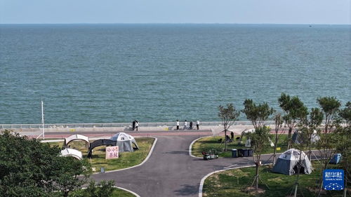 國道之行 海闊天空，多彩海岸線上的魅力生態(tài)城與海空自貿(mào)海外倉