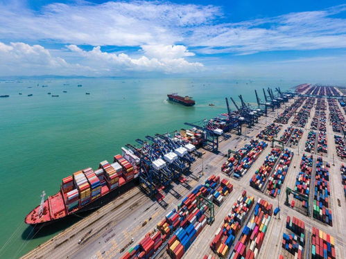 自貿區港制度創新三部曲 外商投資、海關簡政、海外倉重構全球貿易新版圖